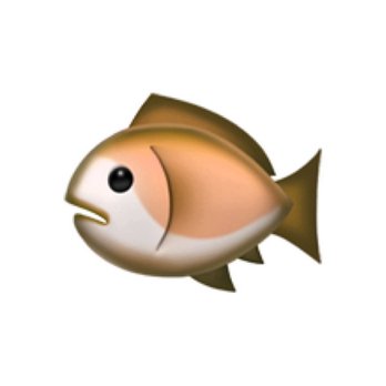 GO_WMTP's profile picture. デザインとシルクスクリーンプリント。 合同会社DOUBLE TIDE。好物は釣りとキャンプと猫です。 
目標：奈良に雇用を生む。
＼奈良物産展キテネ／
https://t.co/KCbXJpp8Y1