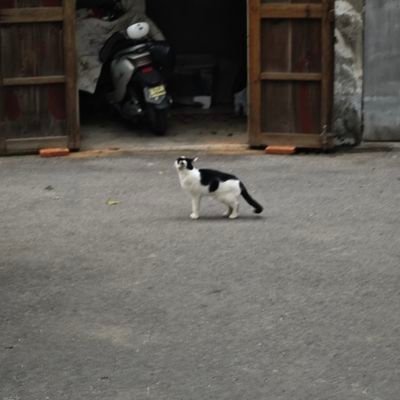 ukqzpUNguG48768's profile picture. 