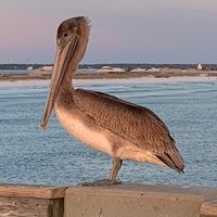 Sam (@aspenco3) 's Twitter Profile