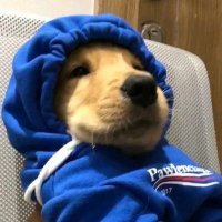 emmett (@emaselc) 's Twitter Profile