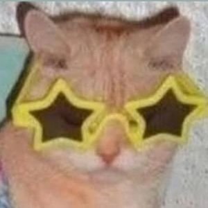 rchcio's profile picture. 