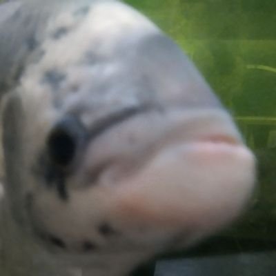 Bank90167's profile picture. ไม่ต้องเสือก