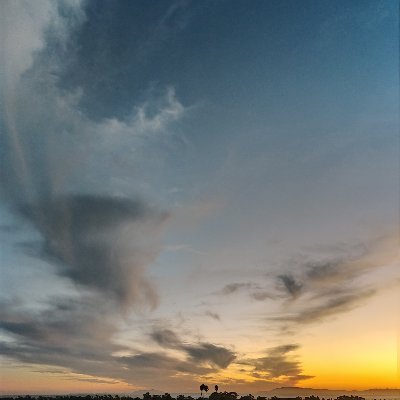 SweetRelativity's profile picture. 