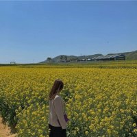 ふゆこ (@fuyuko579260) 's Twitter Profile