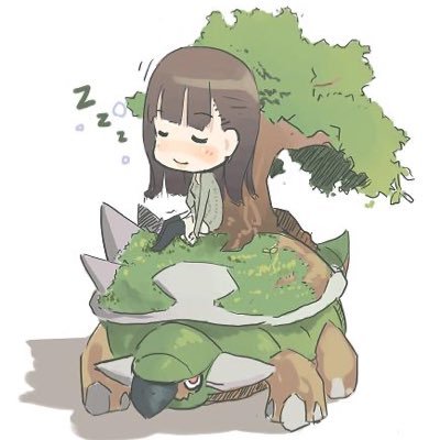 実生縛りで盆栽育ててます🌱
