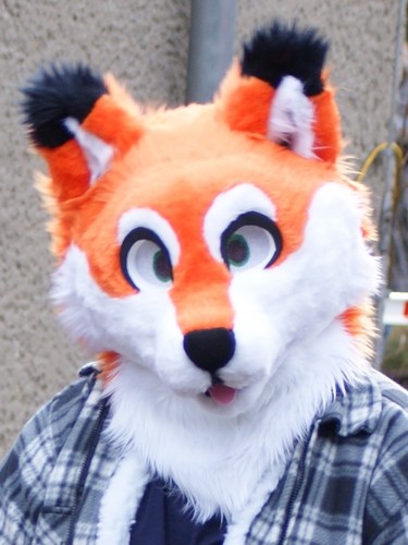 FantoxFox Profile Picture