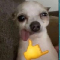 TULP (Roshie) (@prinsrosh) 's Twitter Profile