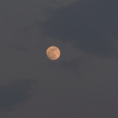 TheDana16s's profile picture. بسم الله النور | Future princess