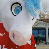 Nordeis (@silbernepegasus) 's Twitter Profile Photo Nordeis (@silbernepegasus) 's Twitter Profile Photo