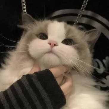 取引