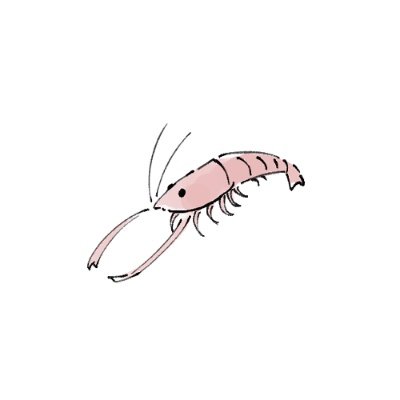すばる🌱さんのプロフィール画像