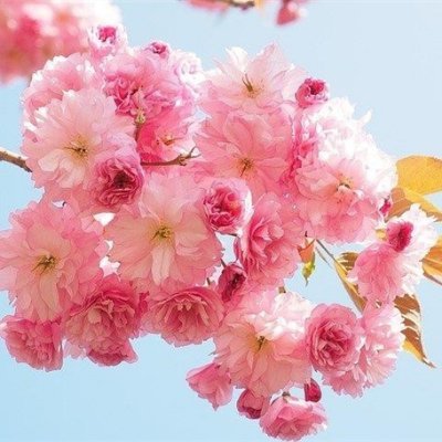お金に恵まれる方法やおトクな情報など共有したりしています。私自身お金に苦労したのでお金に困っている方の力になれればと思い、わずかですがお金配り企画をしております♬ 詳細はココから▶ https://t.co/68AGvsKmLX