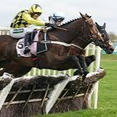 horse racing tipster. let’s beat the bookies together !