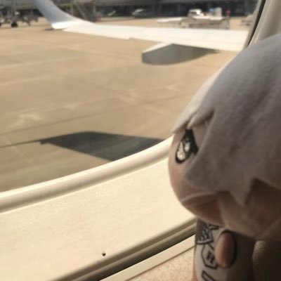 RyoNarumi_0629's profile picture. ブルーロック 凪、玲王、刀剣乱舞 肥前、陸奥守 ぬい活 ちびぐるみ、もちマス またに服作ります。