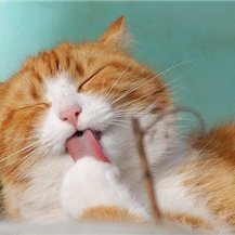 副業で安定した収入を得る方法を共有中。副業を始めてみたい人に役立つ情報を発信。ほんの僅かですがプレゼント企画も実施中☆ フォロワーさん優先⇒ https://t.co/gmVwvTeBOC