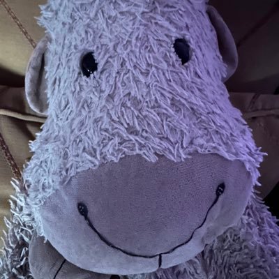 Steel Wool and Combat Hooves: My Life on the Front Lines. A free-thinking sheep 🐑 in sheep’s clothing.