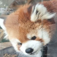 なのめーたー (@kawasemidaisuke) 's Twitter Profile