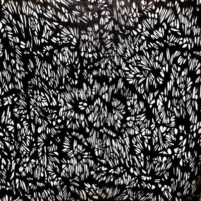 parabol_man's profile picture. | 19 | i listen to music and watch freaky movies that’s about it🍉