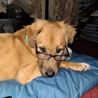Sunny Spirit ❤ 🌻 (@sunnyspirit1919) 's Twitter Profile Photo Sunny Spirit ❤ 🌻 (@sunnyspirit1919) 's Twitter Profile Photo