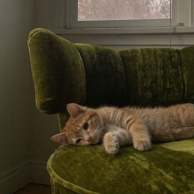 ebusrat's profile picture. -