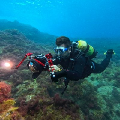 Visual journalist of Reuters based in the Canary Islands. Aquí expreso mis opiniones personales.