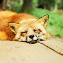 お金に愛される秘訣やお得情報など発信したりしています。私自身お金に苦労した経験からお金に困窮している人を助けたいと思い、僅かですが現金配布企画を始めました♪ 期間限定▶ https://t.co/zixs4BqZDM