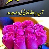 M saeed tanoli (@msaeedtanoli024) 's Twitter Profile