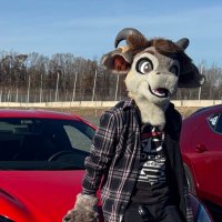 Torgore 🐐 (@torgores) 's Twitter Profile Photo