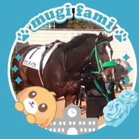 ヒロポー☀️🐶(🧑🧑🧒🌈🏇) (@diguskymilkygaj) 's Twitter Profile