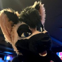 A Freaky Hound (@bigdumbshep) 's Twitter Profile