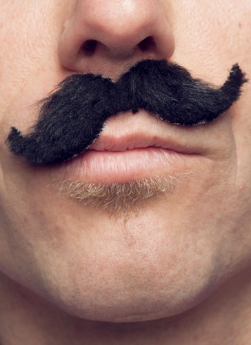 NealeKimmel's profile picture. 