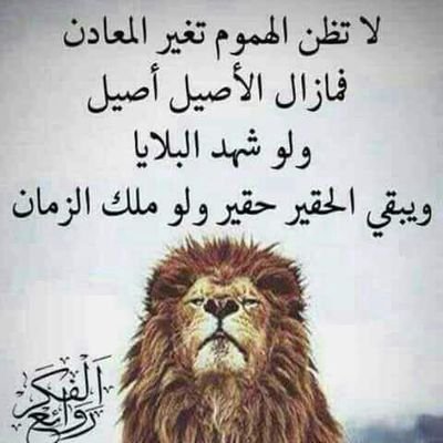 95675001Biplap's profile picture. مۡسَـ(🍀)ـاء الۣخـ(🌸)ـيۡݛ