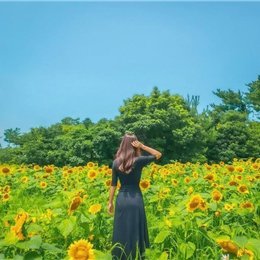収入アップ実践テクニックや副業情報など紹介したりしています。私自身お金に苦労した経験からお金に困っている人を救いたいと思い、わずかですが現金プレゼント企画をしております☆ 支援中→ https://t.co/4K9iDSaou0