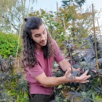 Theo Lex (@telloex) 's Twitter Profile