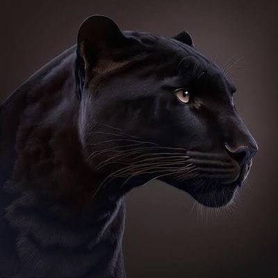 KhaledelmasryMo's profile picture. 