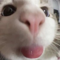 CPC Yumi (@yumijogalol) 's Twitter Profile