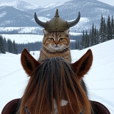 BStampeder's profile picture. Private Kitty account