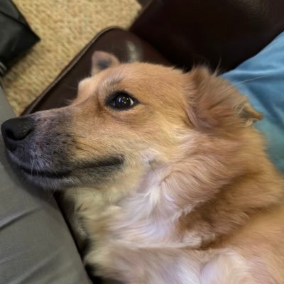 TakatotoSanoshi's profile picture. Crypto commentator, contrarian investor, making money with money is awesome! I want to replace banks! https://t.co/5jsOpHggkc