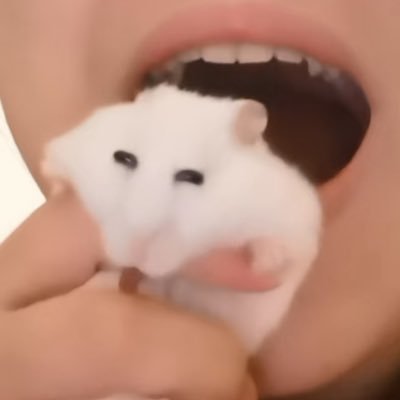 看到金发女就走不动路咋办さんのプロフィール画像