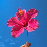Ciaraya_Ciarha (@cciarha) 's Twitter Profile