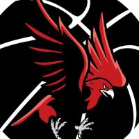 Saranac Girls Basketball (@saranacgbb) 's Twitter Profile