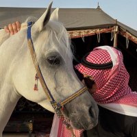 وطبان الشمري (@w_2005n) 's Twitter Profile