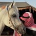 وطبان الشمري (@w_2005n) Twitter profile photo وطبان الشمري (@w_2005n) Twitter profile photo
