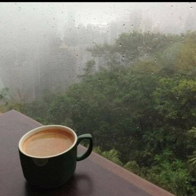 aybshfrj5's profile picture. مترجم