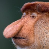 dax (@whalebitt) 's Twitter Profile