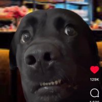 crypto_genius (@imcrypto_) 's Twitter Profile