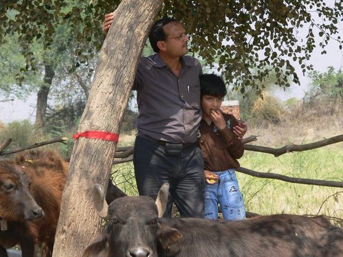 #AntiDeforestation #ClimateAction. We tie #redtape on #treetrunk to #SayNoToDeforestation. #ForNature. Founder @PrabhatMisra. YouTube- @RedTapeMovement.