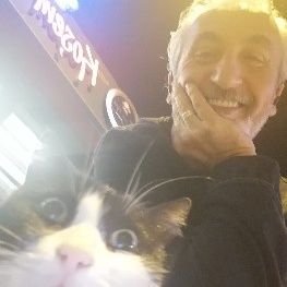 fasulyesirigii's profile picture. Çok nankör tanıdım hiçbiri kedi değildi!!!