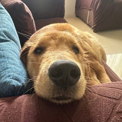 vpdzn's profile picture. 