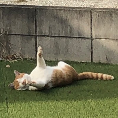 ꪔ̤̱さんのプロフィール画像